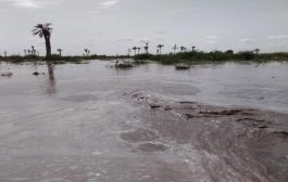 السيول تسقي أراضي زراعية انقطعت عنها المياه لمدة 20 سنة في منطقة الحوطة وتبن بلحج
