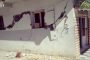 قط الخارجية البريطانية يتقاعد وينتقل لحياة هادئة في الريف