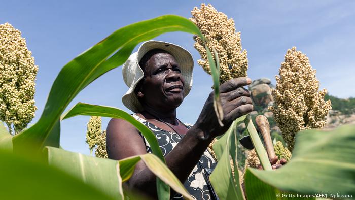 هل فشلت ثورة 