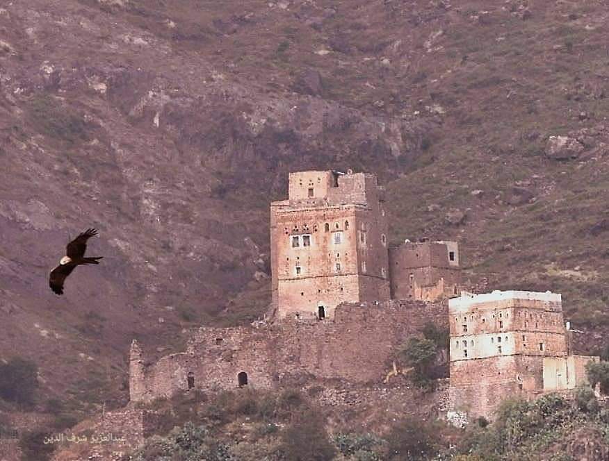 انتحار تاجر ..ومقتل أسرة على يد مسلح في إب