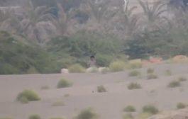 شاهد بالفيديو : نهاية مستحقة لثلاثة قناصة حوثيين بجبهة الساحل الغربي