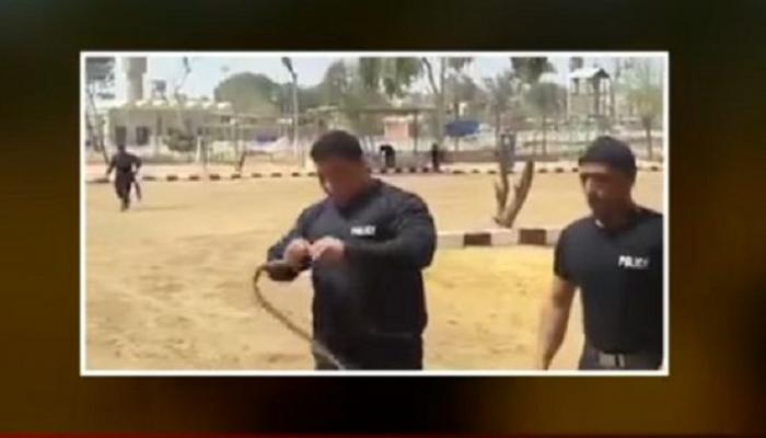 شاهد بالفيديو : عقيد شرطة وشهيد سجن طره ..يلتهم ثعباناً