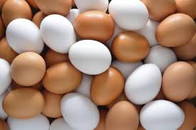 هل يوجد فرق بين البيض ذي القشرة البنية والقشرة البيضاء؟