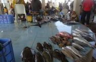 مواطنون يشكون من ارتفاع أسعار السمك في عدن