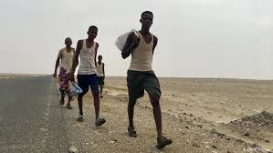 الهجرة الدولية تعلن تزايد أعداد المهاجرين الأفارقة لليمن