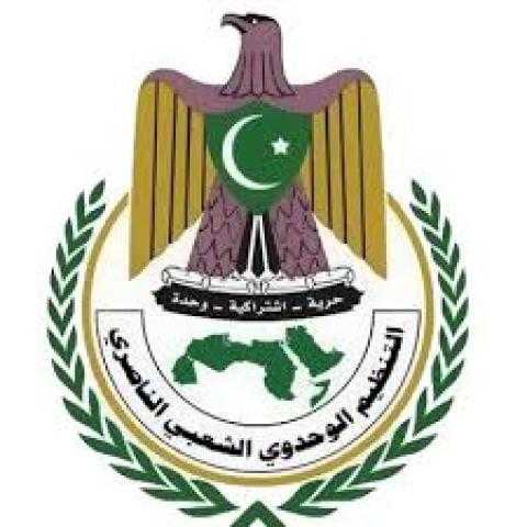 التنظيم الوحدوي الناصري يدرس خيار مواصلة الاشتراك بالحكومة اليمنية أو الانسحاب منها