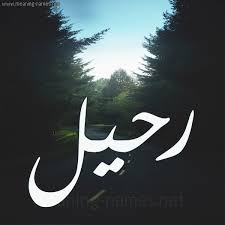 قصة قصيرة : *رحيل*