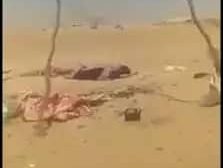 الجيش اليمني يخاطب الصليب الأحمر لانتشال جثث قتلى مليشيات الحوثي