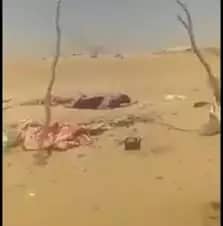 الجيش اليمني يخاطب الصليب الأحمر لانتشال جثث قتلى مليشيات الحوثي