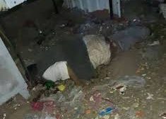 مسلح يقتل بائع في محافظة إب