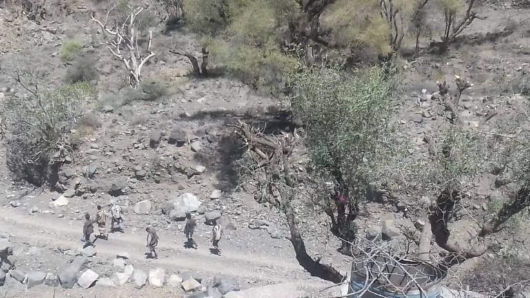 تقدم نوعي للقوات الحكومية في تعز والحوثيون يدفنون أسلحتهم ويفرون بشكل جماعي