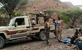 مقتل وإصابة حوثيين في هجوم بالشماسي