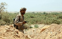 حكومة هادي ترفض مشاركة طارق صالح في معركة مأرب