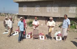 لجنة الإغاثة والاعمال الإنسانية بالمجلس الانتقالي توزع 450 سلة غذائية قعطبة ومريس