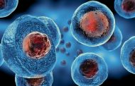 مخاوف عالمية من جموح العلم في الخلايا الجذعية