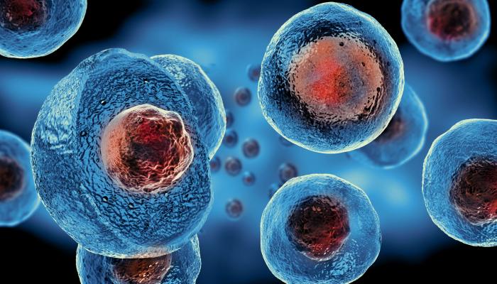 مخاوف عالمية من جموح العلم في الخلايا الجذعية