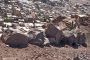 إفشال هجوم لمليشيات الحوثي بمحافظة لحج
