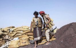 معضلة في اليمن: لا حلّ عسكريا للصراع ولا سياسيا أيضا