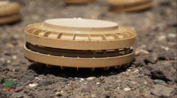 مصرع عناصر حوثية في وادي صيبرة