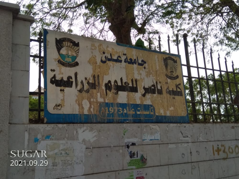 طلاب من كلية ناصر بلحج يتقدمون بمناشدة لإنقاذهم من رسوب جماعي