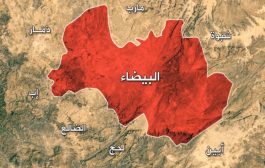 الجيش يدحر المليشيات الانقلابية من عدة مواقع في جبهة ناطع في البيضاء