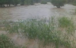 تداعيات الأمطار والسيول : اهالي منطقة بشرية في المسيمير يطلقون نداء استغاثة 
