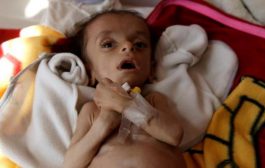 الأمم المتحدة تحذر من ارتفاع مستويات انعدام الأمن الغذائي في اليمن
