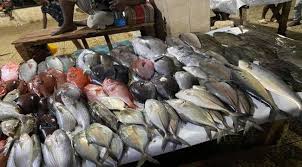 عدن : هيئة المصائد السمكية تنشر أسعار انواع الأسماك في الأسواق والمفارش المحلية