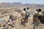 تعرف على فوائد وأضرار البصل لبعض المرضى