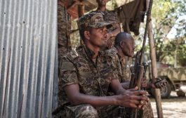هل تخترق الحركات المسلحة متاريس أديس أبابا؟