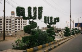 الأشجار المنحوتة في أشكال غريبة الأطوار .. مشاهد غير متوقعة في حرب اليمن