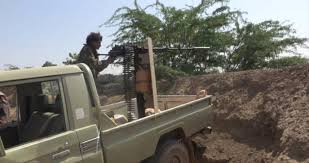 مصرع عدد من مسلحي الحوثي بمنطقة الفازة