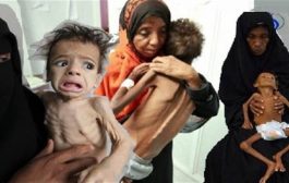 تصعيد مليشيات الحوثي يهدد بدفع ملايين اليمنيين نحو المجاعة