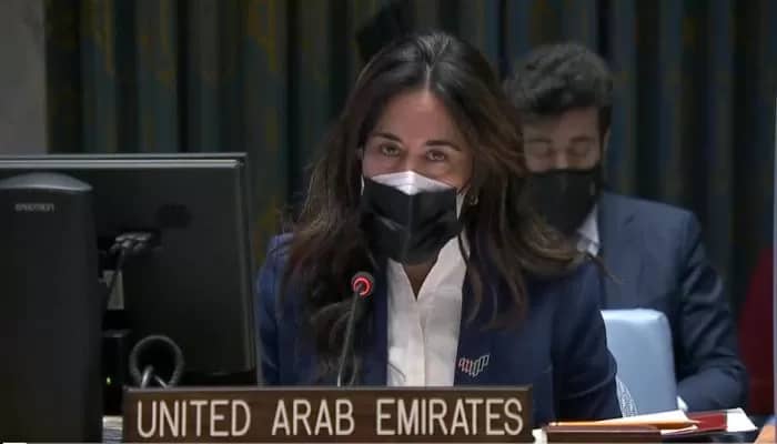 الإمارات ترحب بإدانة مجلس الأمن اختطاف الحوثي لـ