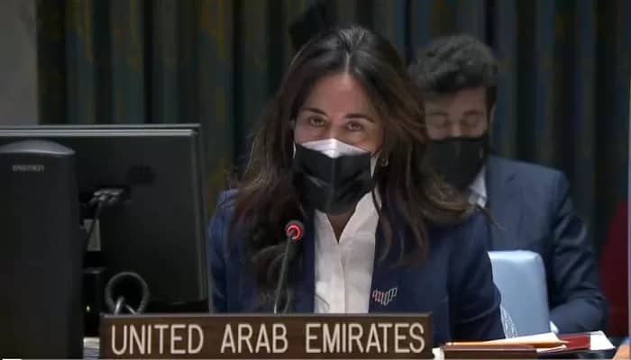 الإمارات ترحب بإدانة مجلس الأمن اختطاف الحوثي لـ