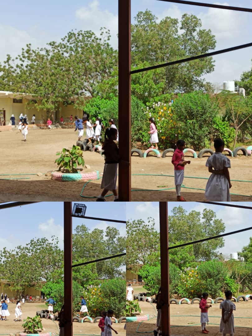 مؤسسة السلام وحماية البيئة تدشن حملة التشجير بعدن