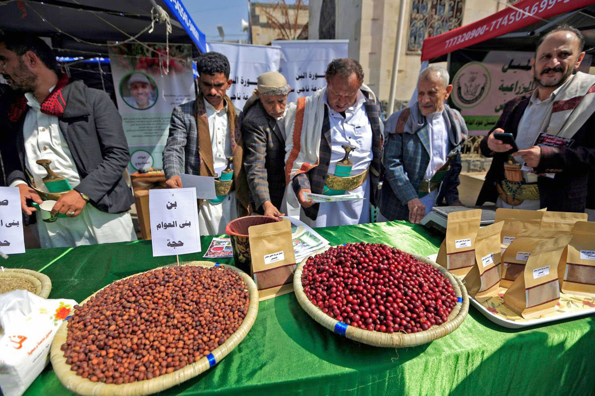 البن اليمني.. جودة عالية تحاصرها الحرب