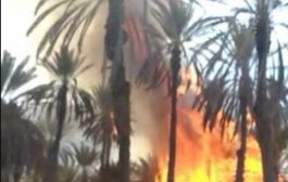 حريق هائل يلتهم أكثر من ٥٠٠ نخلة بمنطقة في حضرموت