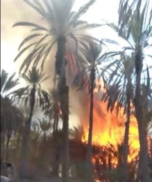 حريق هائل يلتهم أكثر من ٥٠٠ نخلة بمنطقة في حضرموت