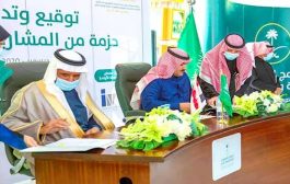 صحيفة سعودية: مشروعات المملكة في اليمن تتخطى الـ 207 مشرع ومبادرة