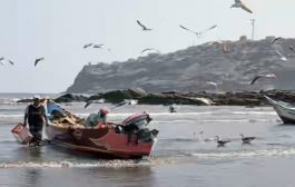 رئيس مصلحة خفر السواحل يعلن عن تعرض 19 صياداً يمنياً لسطو مسلح