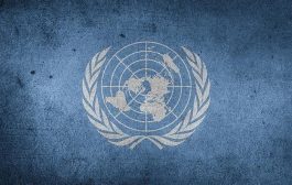 صحيفة عكاظ تهاجم الأمم المتحدة بسبب اليمن