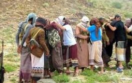 تبادل أسرى بين القوات الحكومية والحوثيين في تعز
