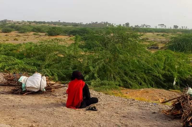 خلال أقل من عام  : تسجيل 5 جرائم قتل بحق نساء متزوجات بالحديدة 