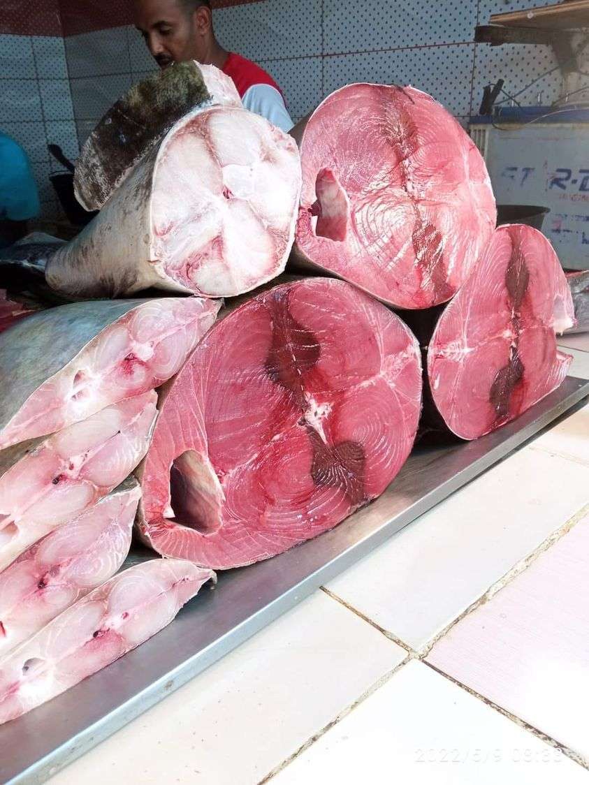ارتفاع بأسعار الأسماك في عدن .. ومصدر يكشف السبب