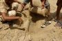 وزير الخارجية الأمريكي : مجلس القيادة الرئاسي فرصة لتمثيل أوسع لليمنيين