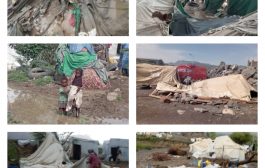 امطار الضالع تلحق اضرار واسعة في مخيمات النازحين والسلطات تطلق مناشدة عاجلة