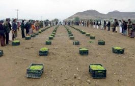 جبايات الحوثيين تفقر المزارعين وتوهمهم بـ«قدسية» التبرع للجبهات