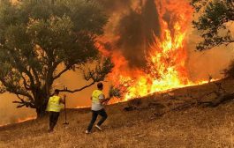 37 جثة تفحمت وأطفال حوصروا.. مشاهد مروعة لحرائق الجزائر