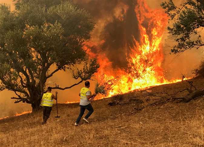 37 جثة تفحمت وأطفال حوصروا.. مشاهد مروعة لحرائق الجزائر